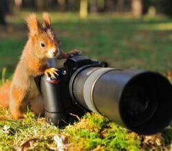 Bruce Weber Photographer Briefly Talks About Nature Photography 